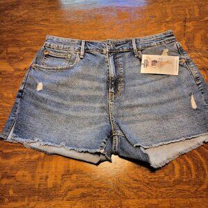 Denizen High-Rise Shorts